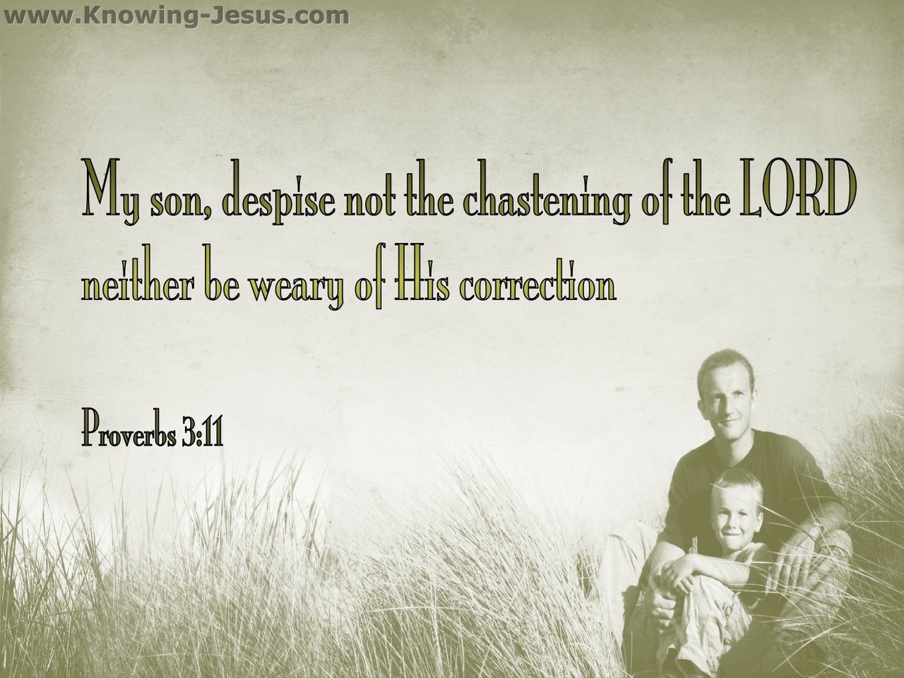 Proverbs 3:11 Do Not Despise The Lord's Correction (sage)